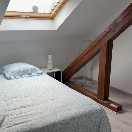 Apartmán Le Manoir De Cyrielle A 10 Min Du Centre De Strasbourg Bischheim Exteriér fotografie